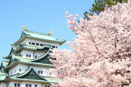 名古屋2