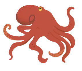 タコ