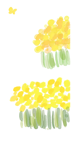 菜の花