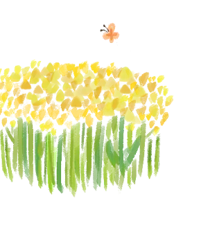 菜の花3