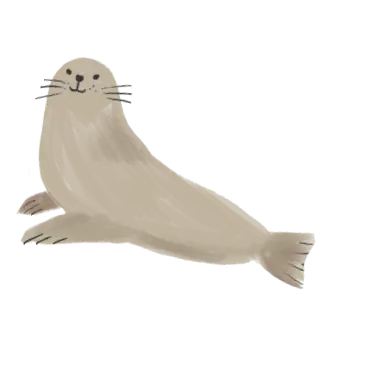 アザラシ