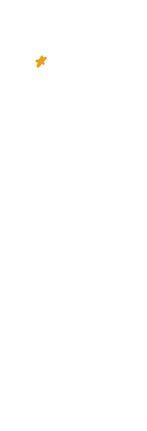 星11