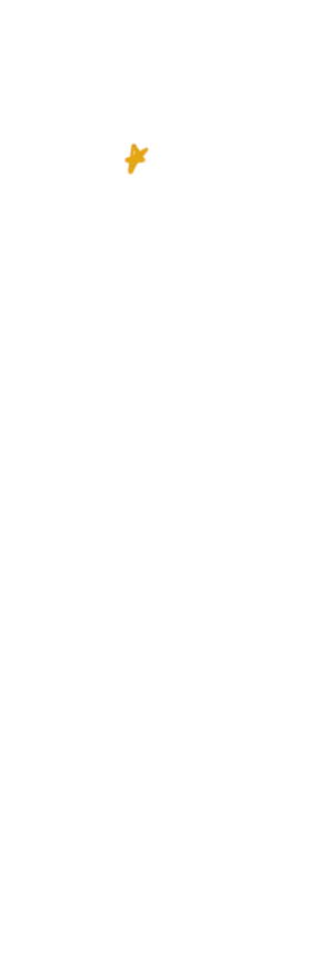 星12