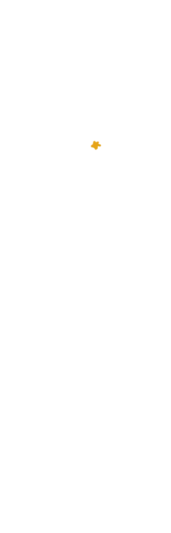 星15