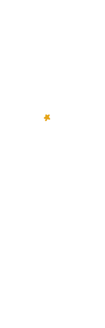 星17