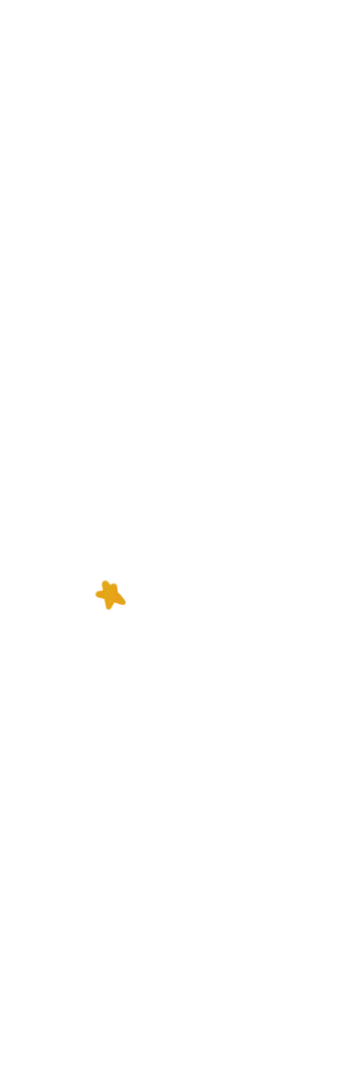 星19