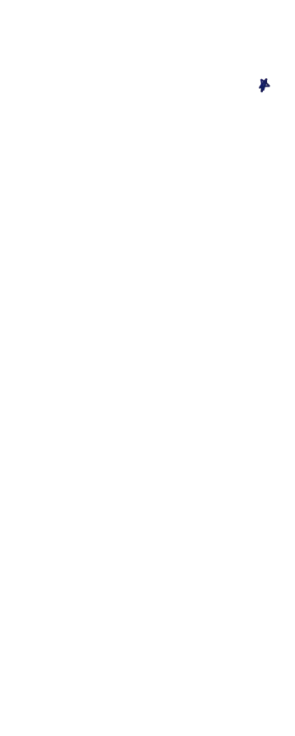 星2