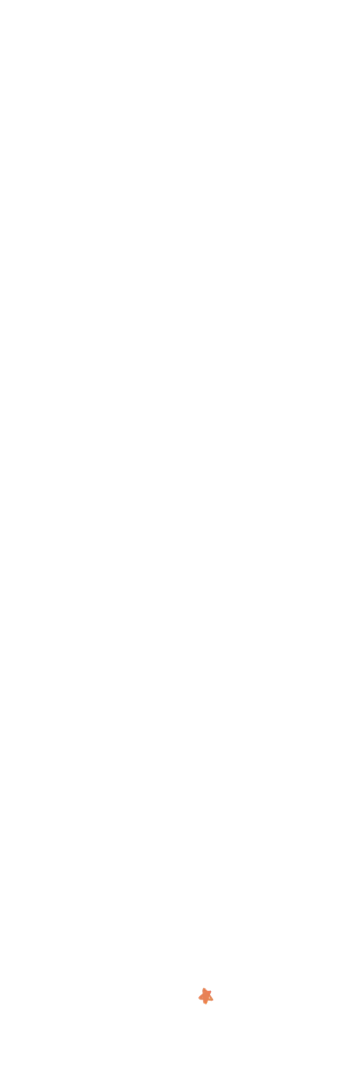 星21