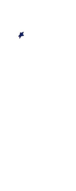 星3