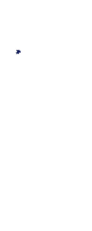 星4
