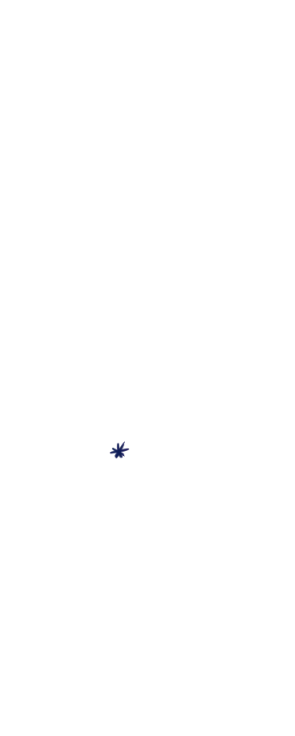 星5