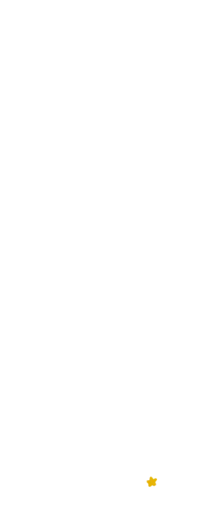 星7