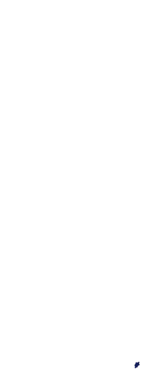 星8